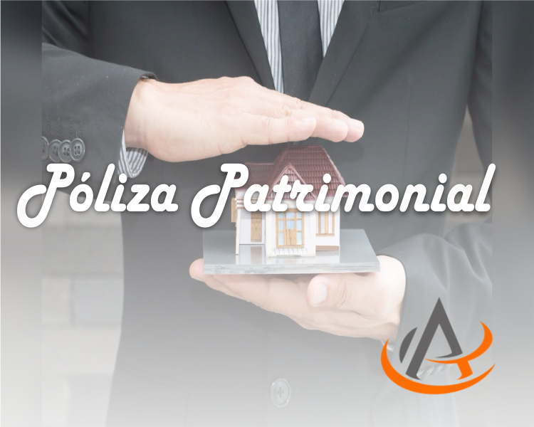 alt="poliza-de-patriminiales-avila-seguros.png"