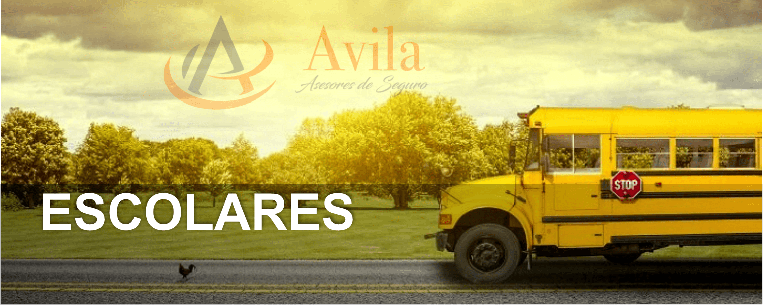 alt="avila-seguros-escolares.png"