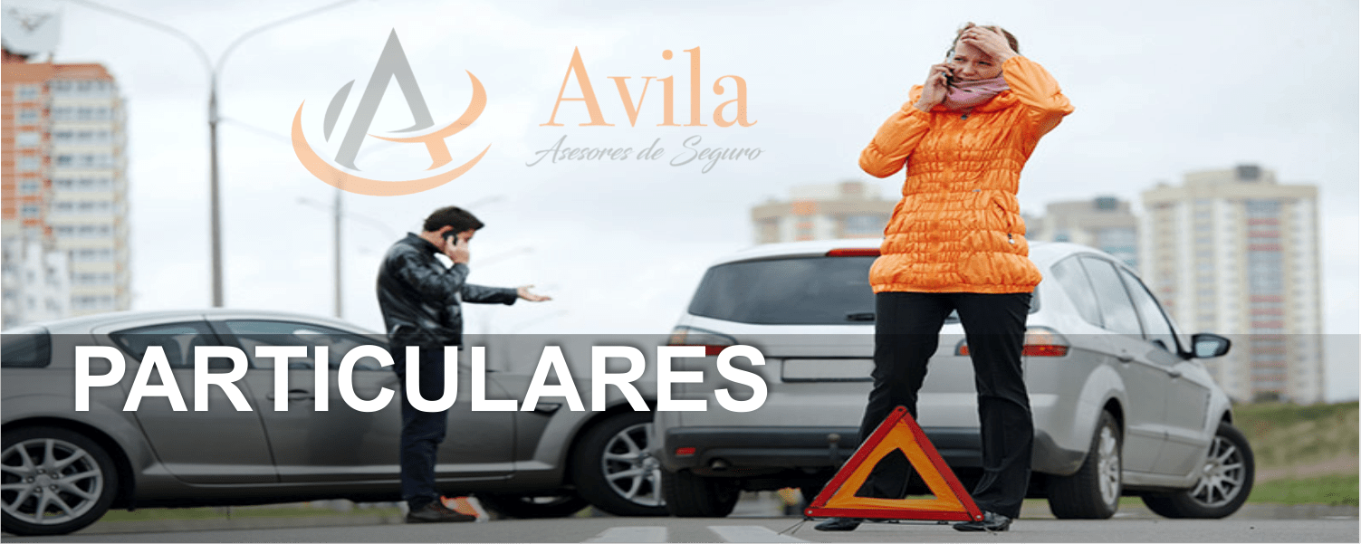 alt="avila-seguros-particulares.png"