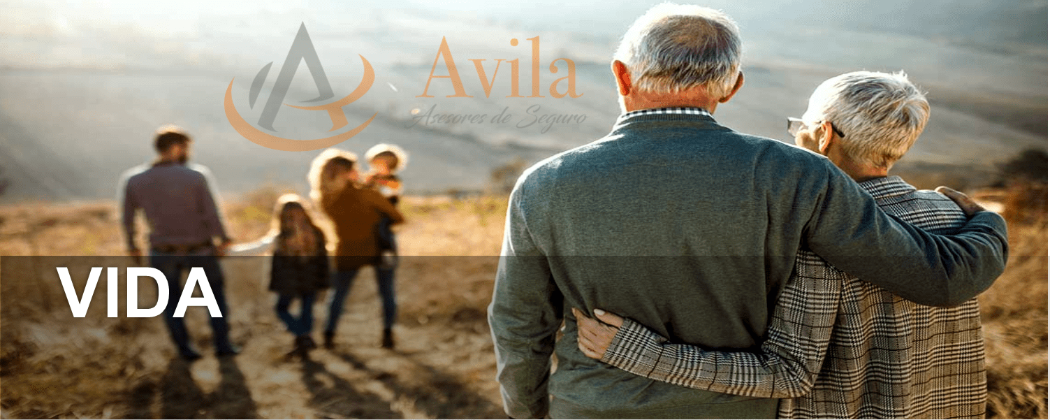 alt="avila-seguros-vida.png"