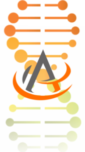 alt="imagen-avila-asesores-valores.png" alt="imagen-avila-asesores-valores.png"